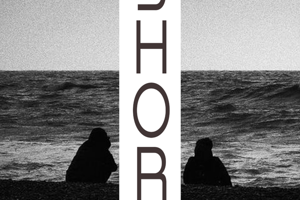 on the shore