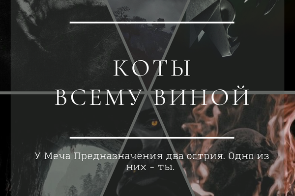 Коты всему виной