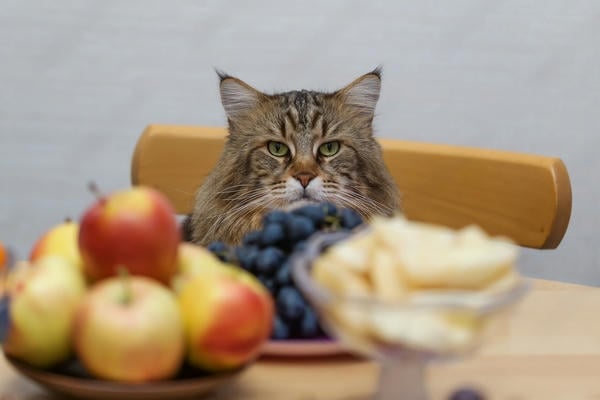 Столик на двоих