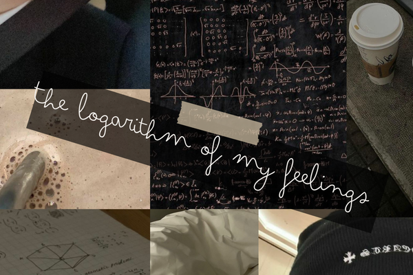 The logarithm of my feelings