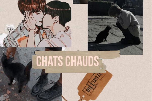 chats chauds