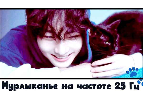 Мурлыканье на частоте 25Гц