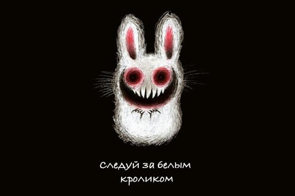 Следуй за белым кроликом