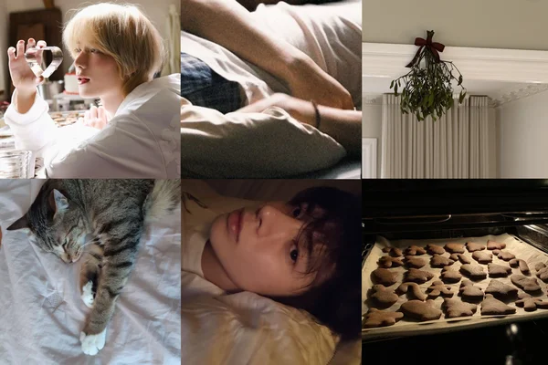 Cats and Mistletoes