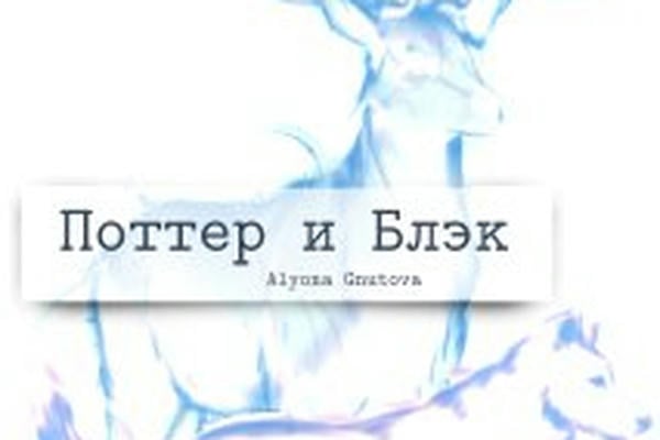 Поттер и Блэк