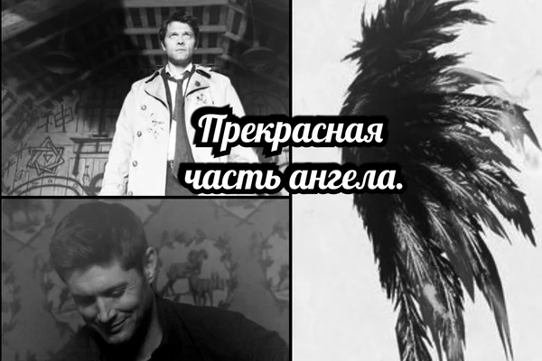 Прекрасная часть ангела.