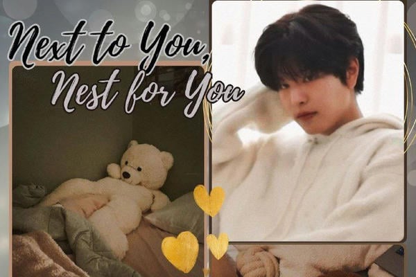 Next to You, Nest for You