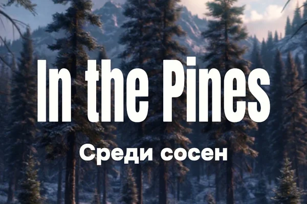 In the Pines
