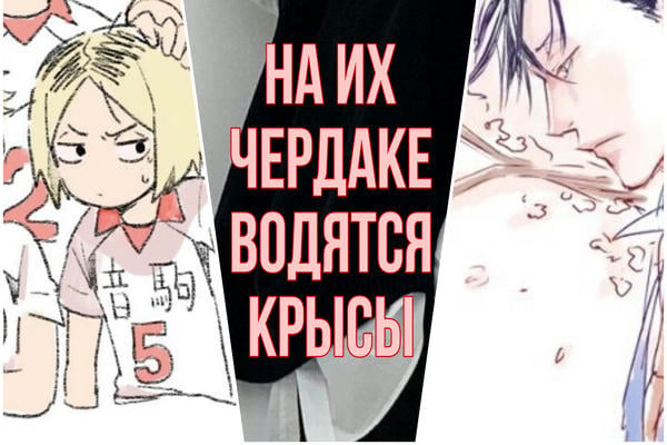 На их чердаке водятся крысы