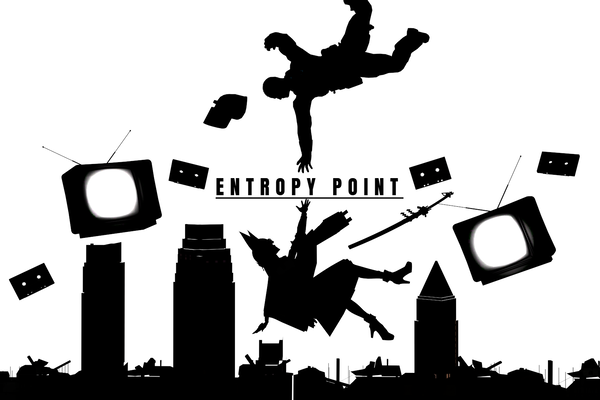 ENTROPY POINT