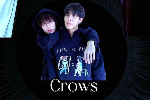 Crows