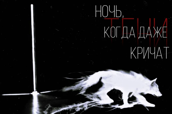 Ночь, когда даже тени кричат