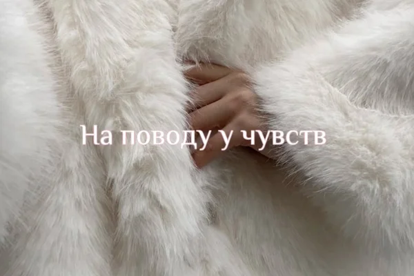 На поводу у чувств
