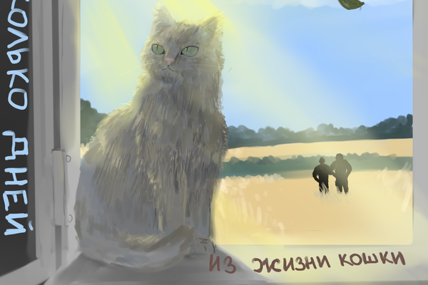Несколько дней из жизни Кошки