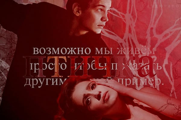 Птичка
