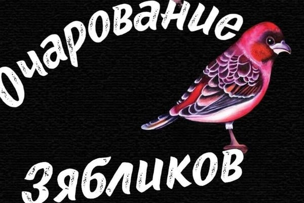 Очарование зябликов/ серия "Венери", книга 2