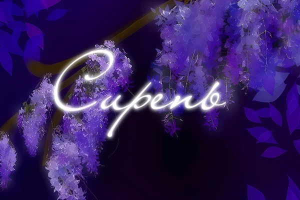 Сирень