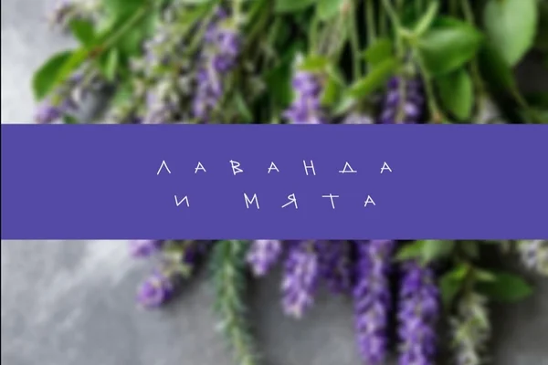 Лаванда и мята