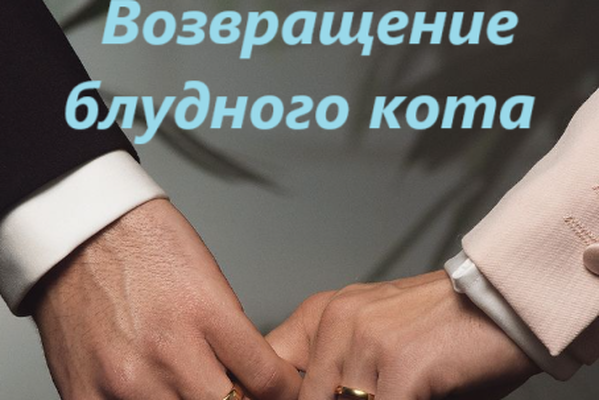 Возвращение блудного кота.