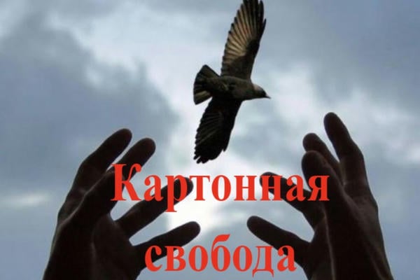Картонная свобода