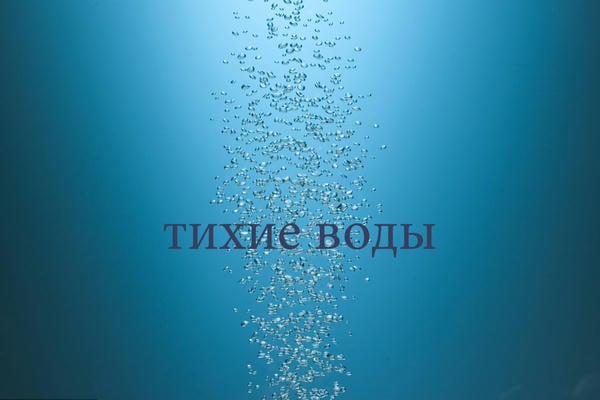 Тихие воды
