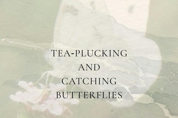 Tea‑plucking and Catching Butterflies