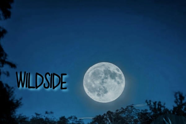 WILDSIDE