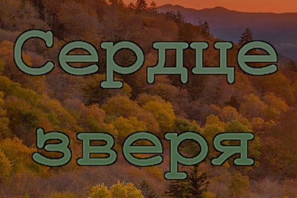 Сердце зверя