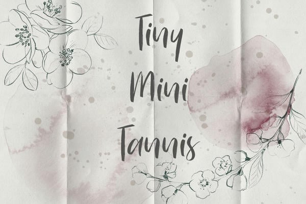 Тини-мини-таннис