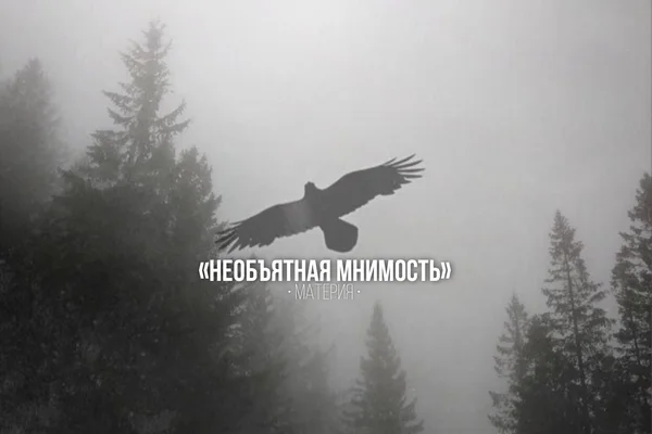 необъятная мнимость.