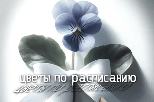 Цветы по расписанию