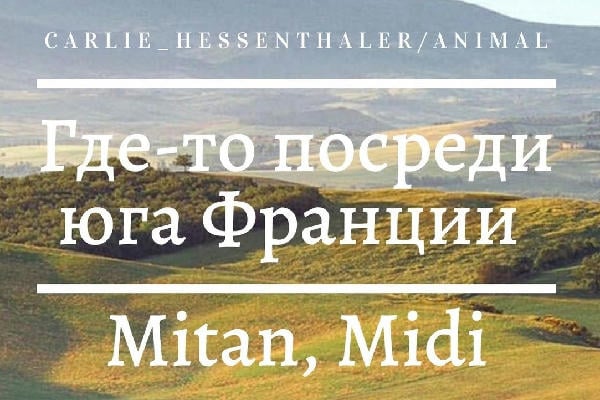 Где-то посреди юга Франции / Mitan, Midi