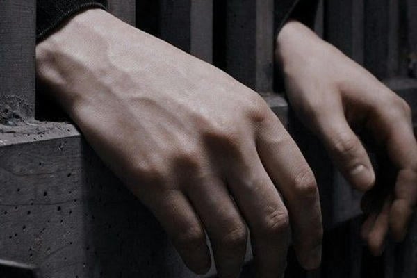 В резервуаре с акулами