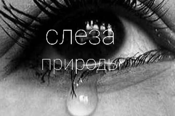 Слеза природы 