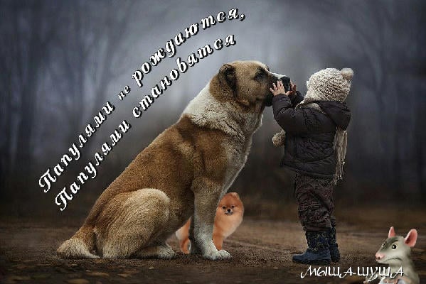 Папулями не рождаются, папулями становятся
