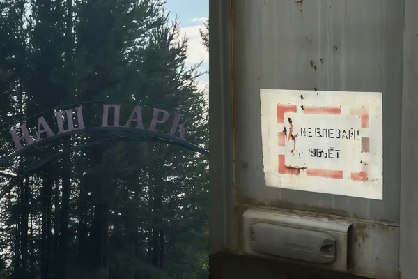 24-х часовой «Магнит»