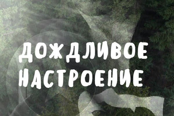 Дождливое настроение