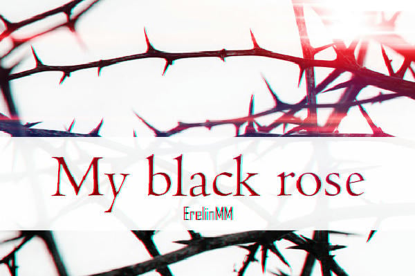 My black rose