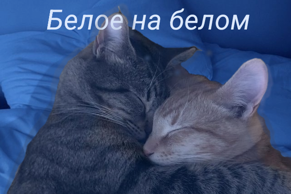 Белое на белом
