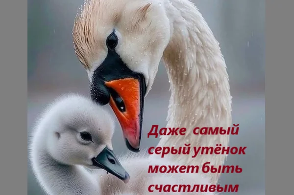 Даже самый серый утёнок может быть счастливым