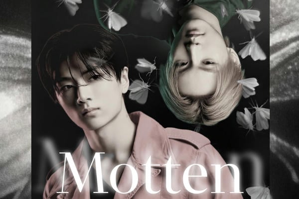 Motten (Мотыльки, подробное описание заявки)