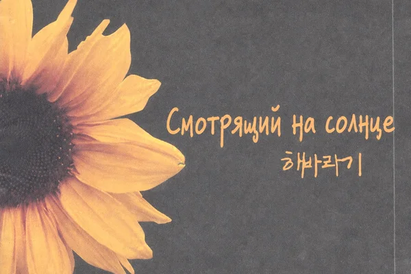 Смотрящий на солнце