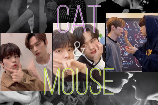 Cat and Mouse