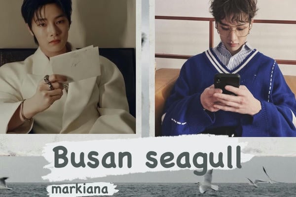 Busan seagull