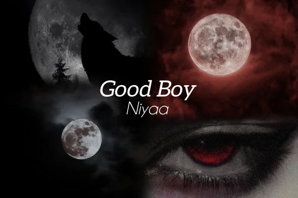 Good Boy