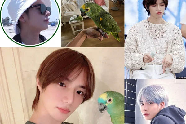 birds of a feather
