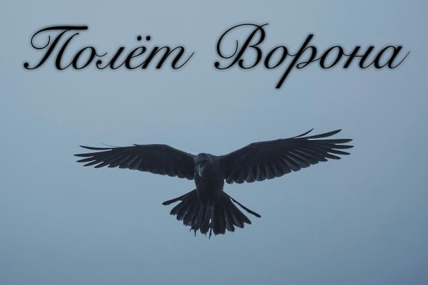 Полёт Ворона