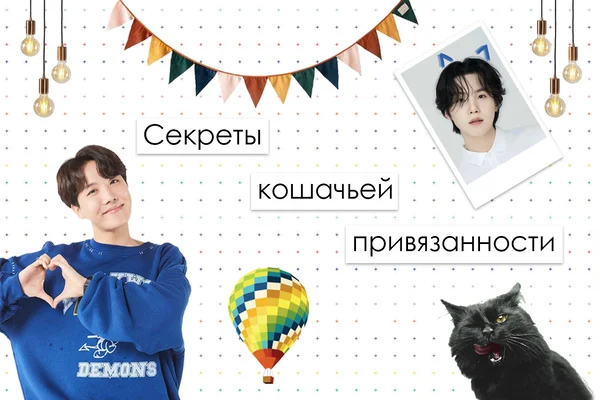 Секреты кошачьей привязанности