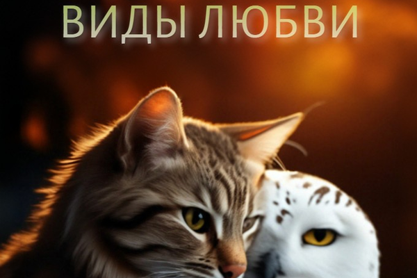 Виды любви