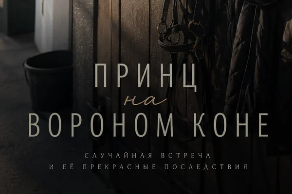 Принц на вороном коне
